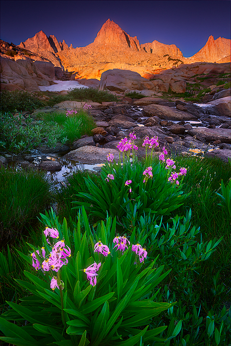 Granite Garden