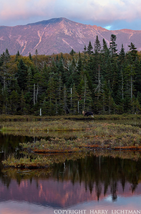 My Wonder Lake