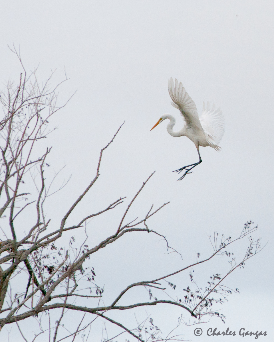 Soft Landing