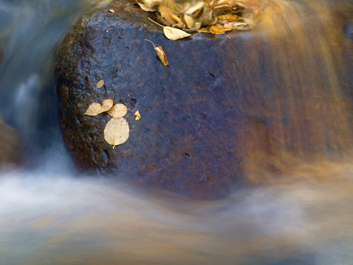 Fall at Ogre Canyon