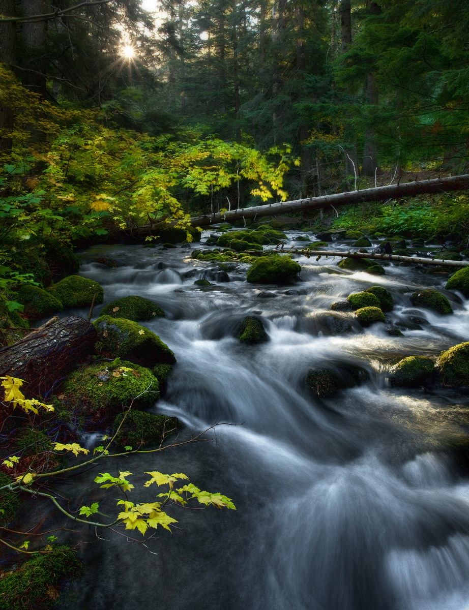Cold Spring Creek