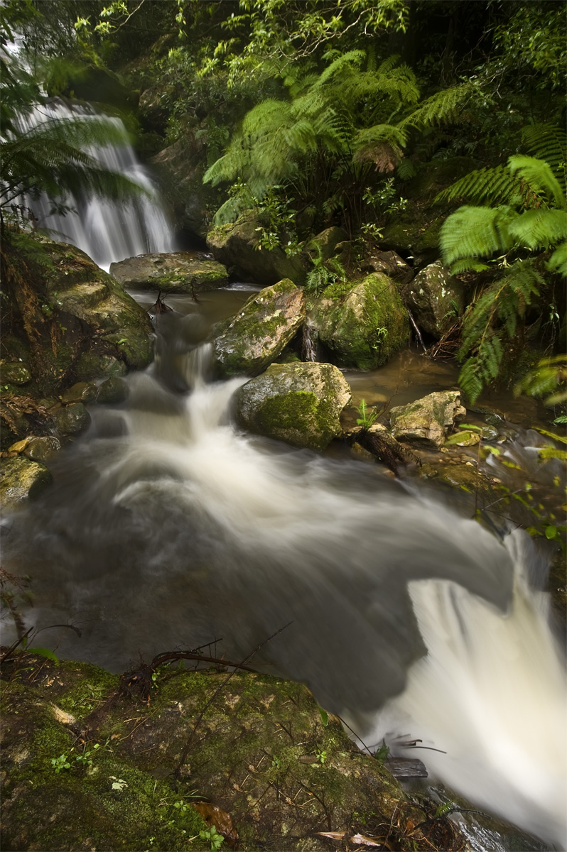 Cascades