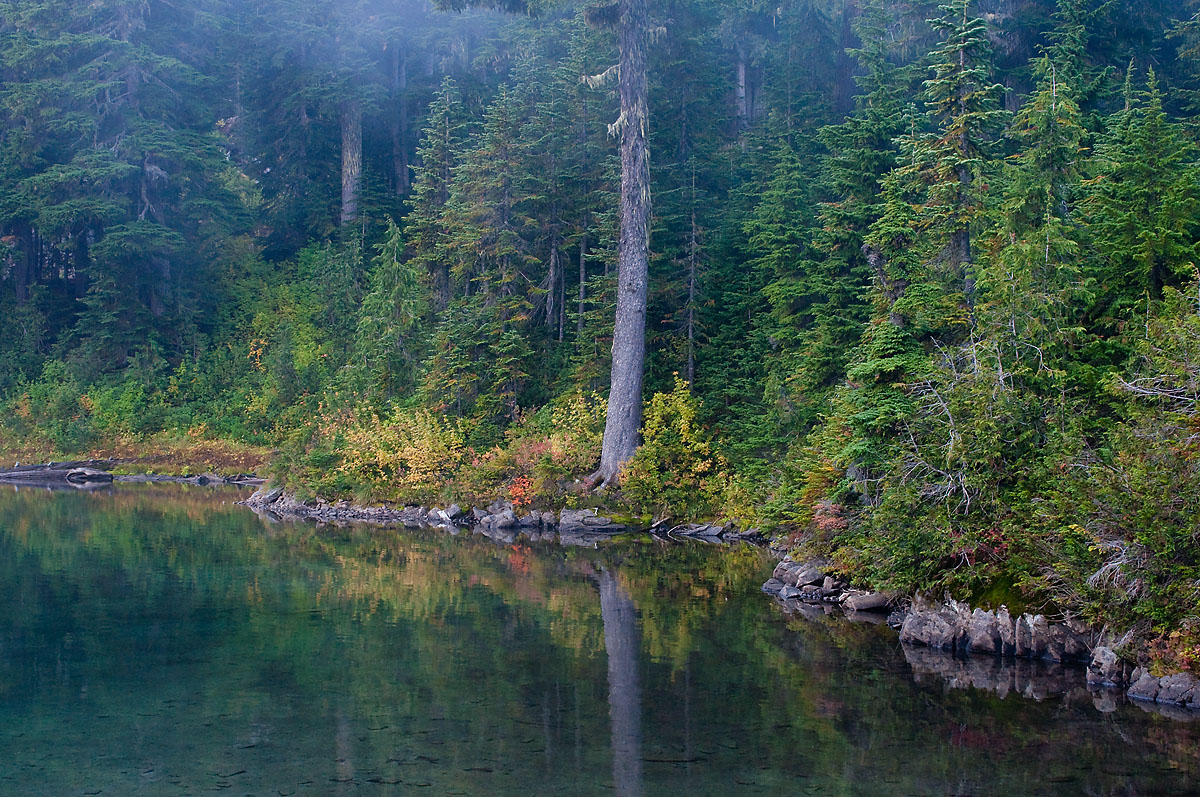 Mowich Shoreline.