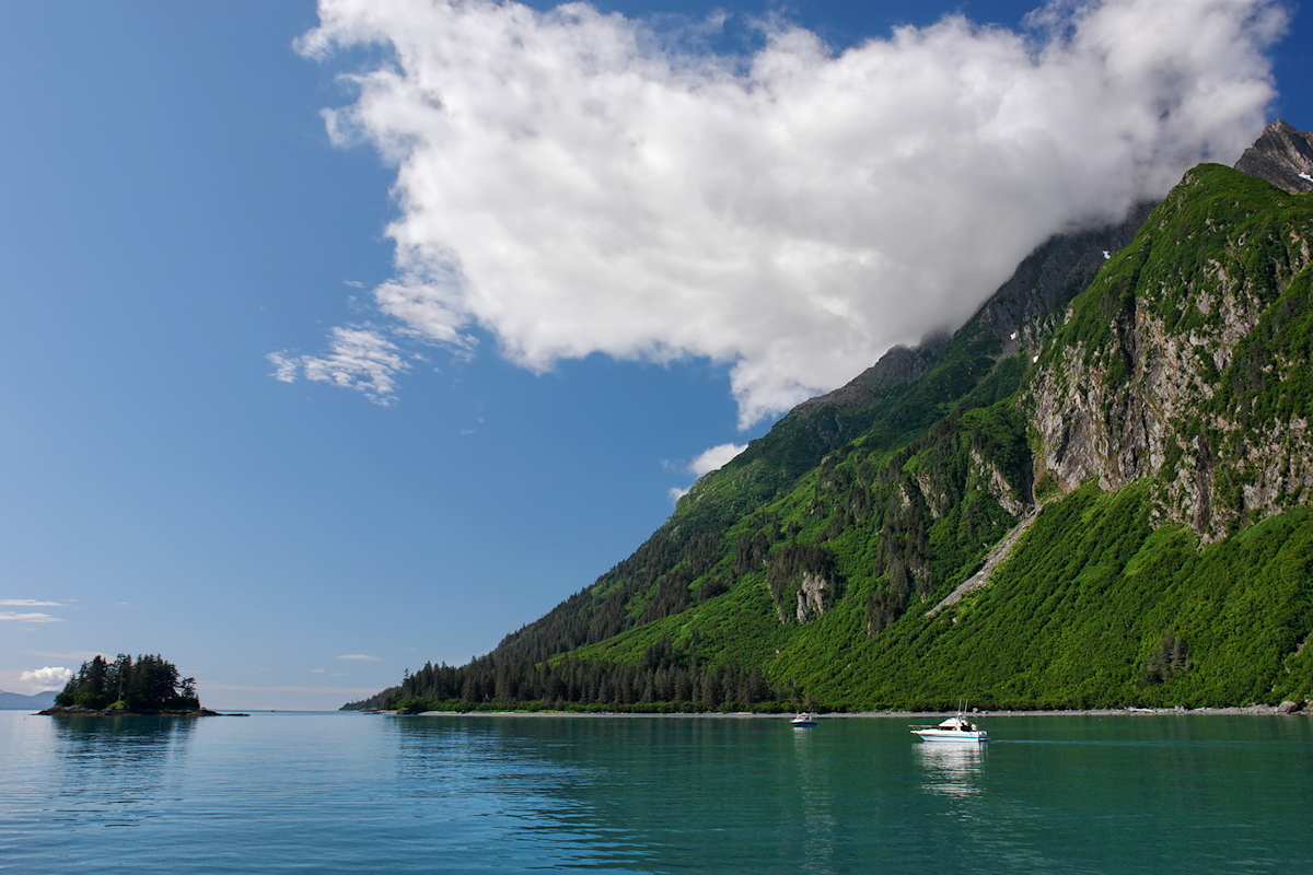 Fishing the Narrows