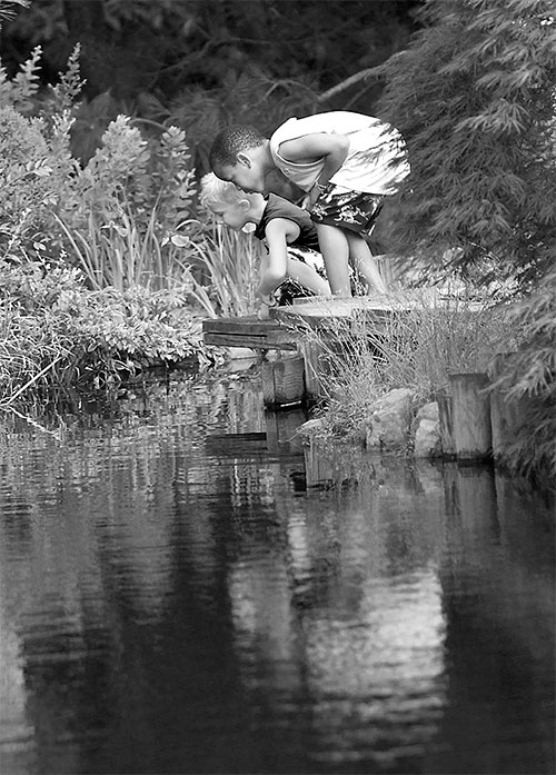 Curiosity  B/W