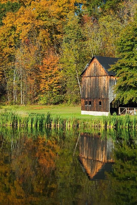 Autumn Mirror