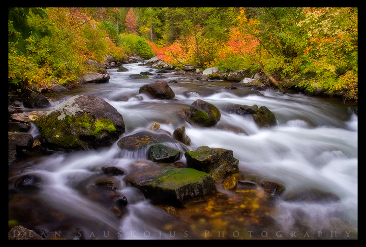 Hyalite Creek