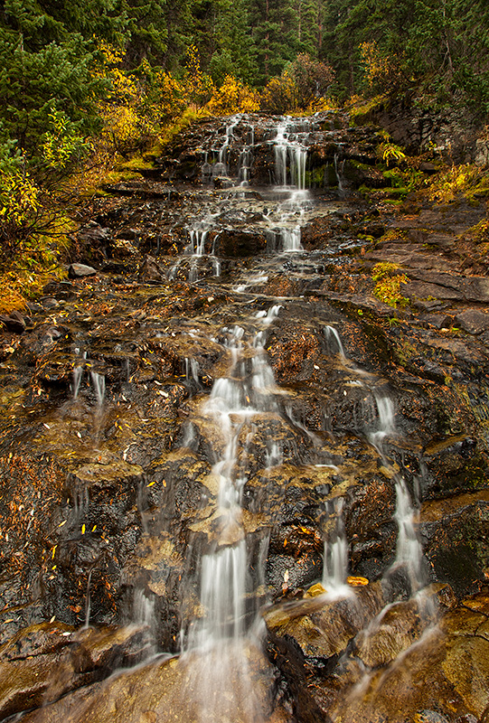 Autumn Waterfall, CO