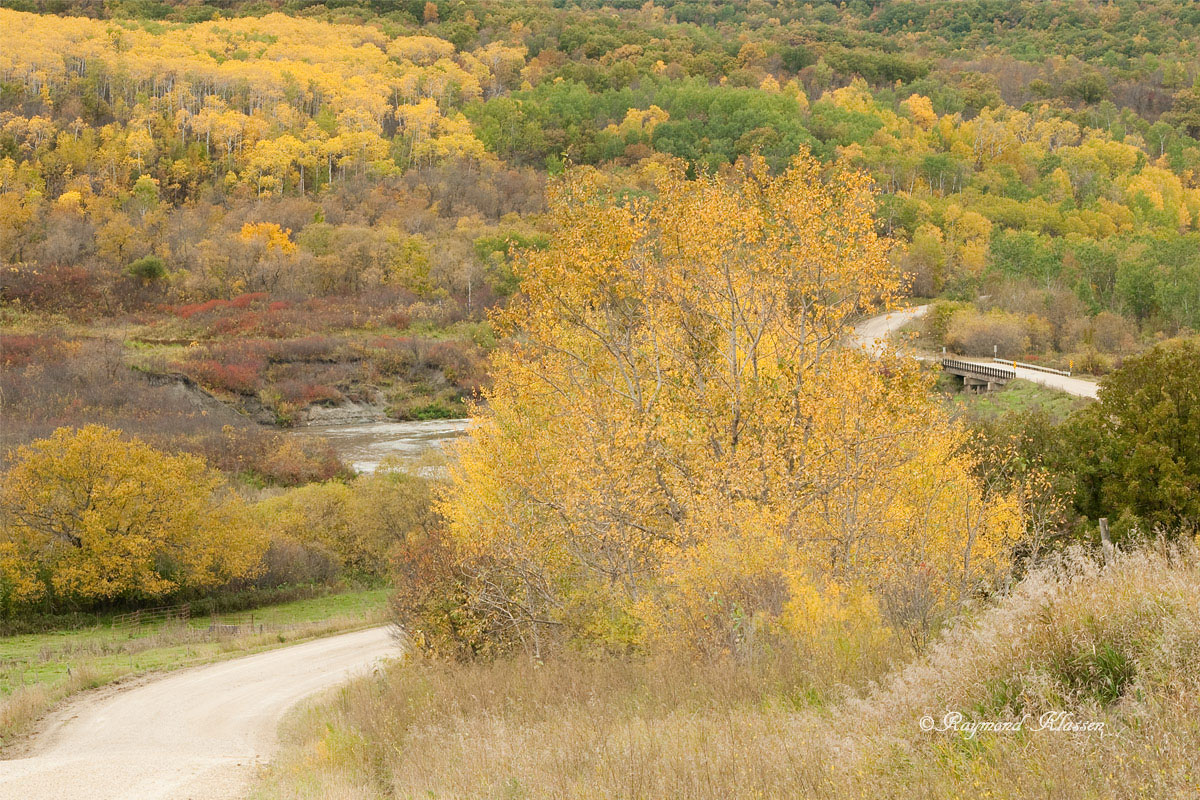 Pembina Valley Fall
