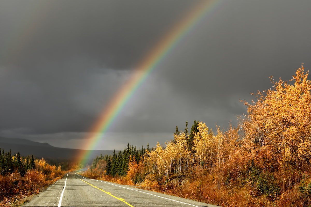 Highway Gold