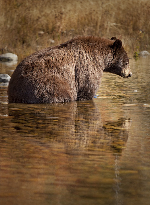 Cooling Off