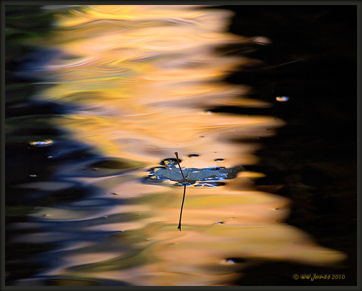 Into the Light