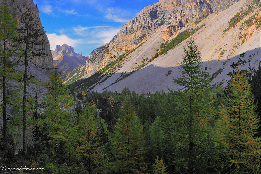 Above the tree line