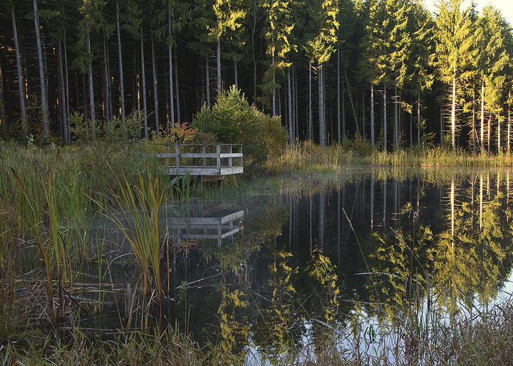 Solitude