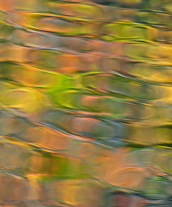 Autumn Abstract