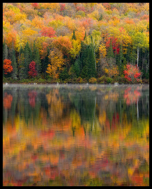 Autumn Shore