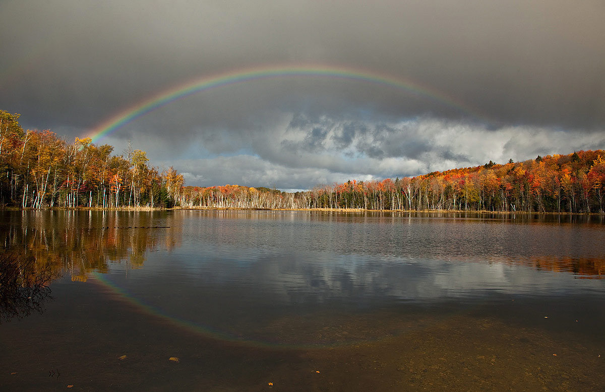Red Jack Rainbow