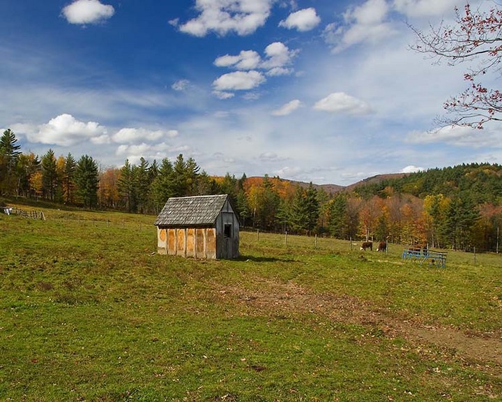 Sonny's Pasture