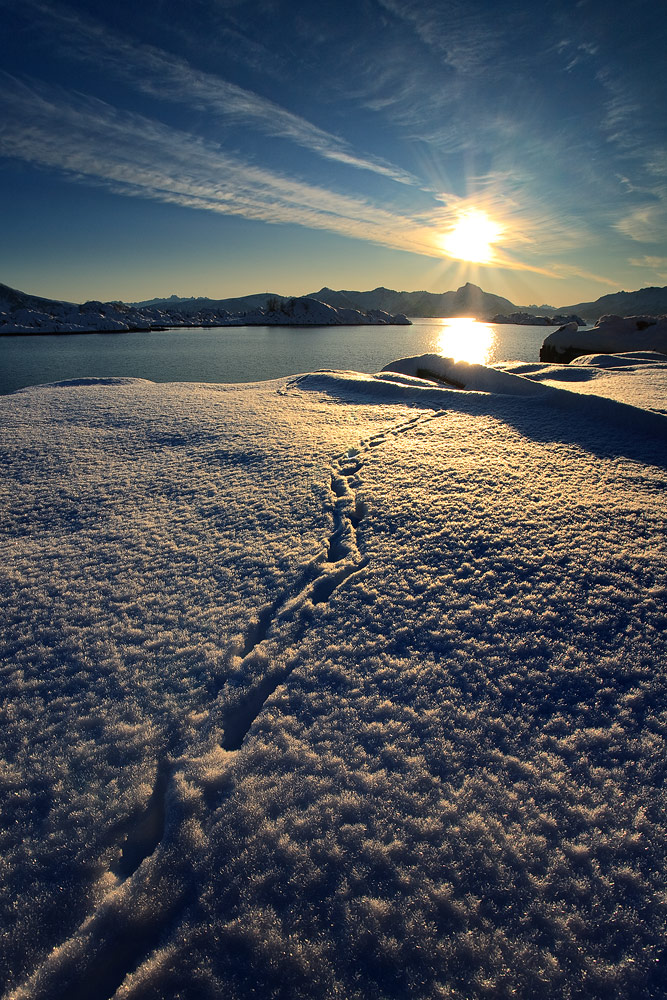 Footsteps to Oblivion