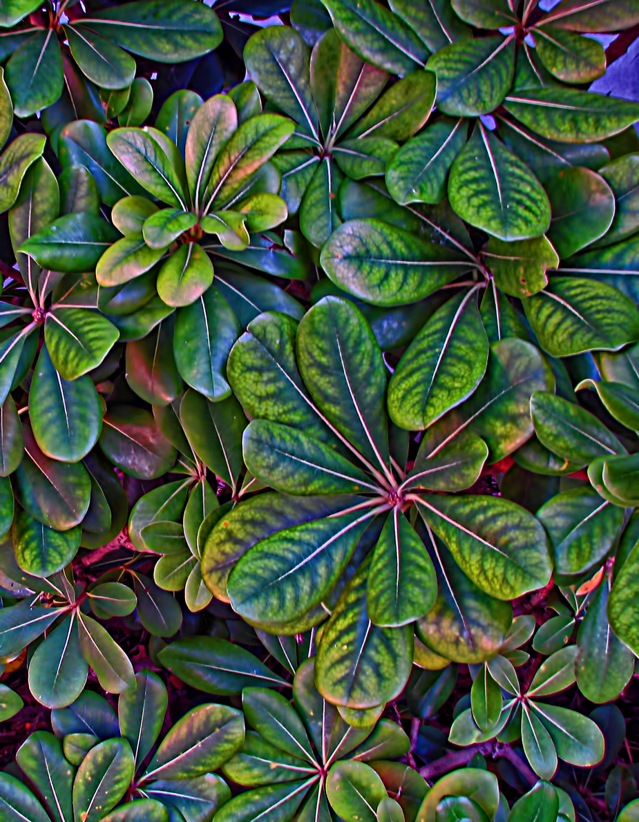 More than Green