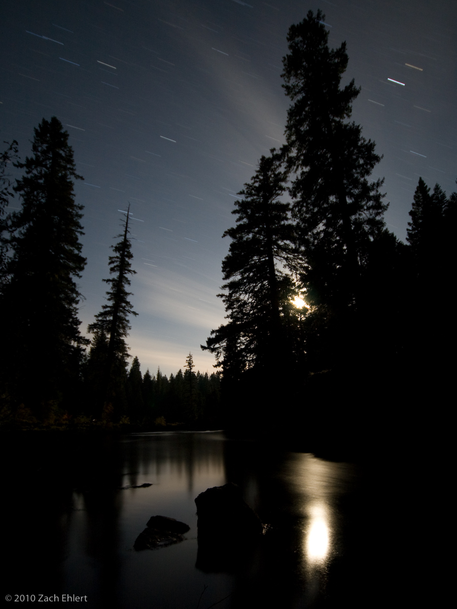 Rogue Moonlight