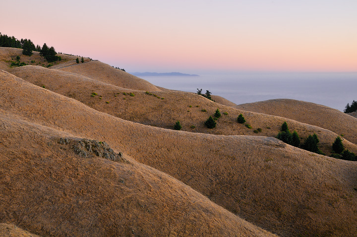Mt Tam Dreams
