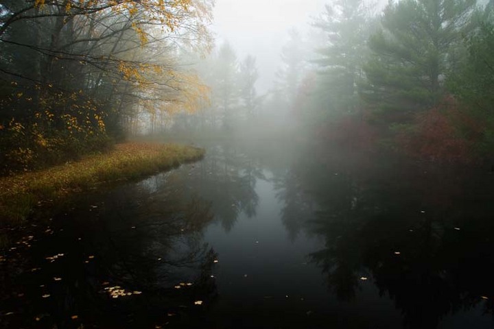 Morning Calm 