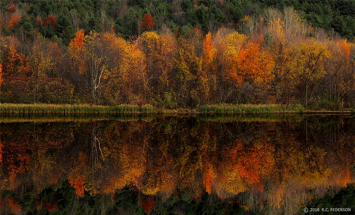 Fall Reflection + Repost