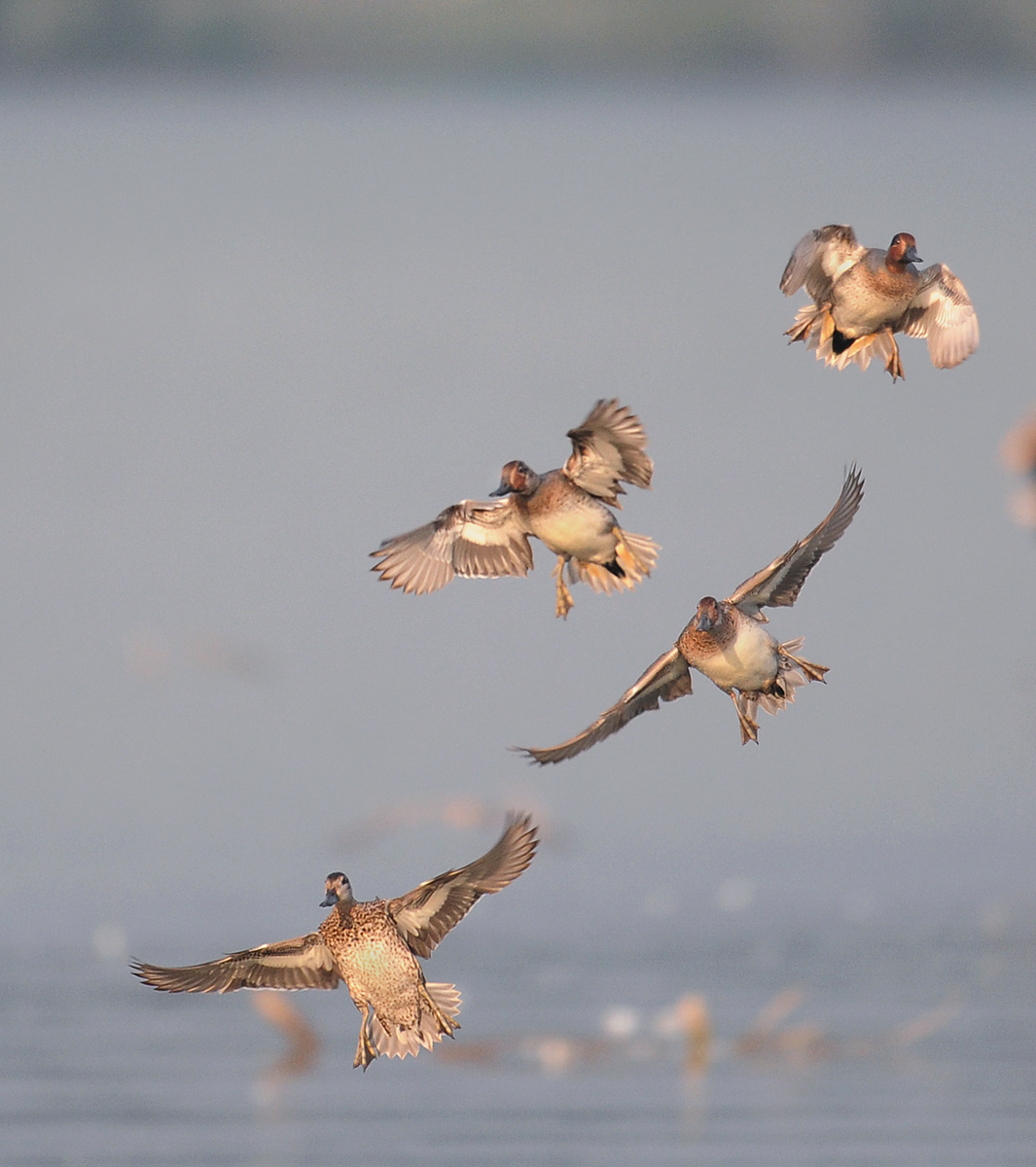 Landing