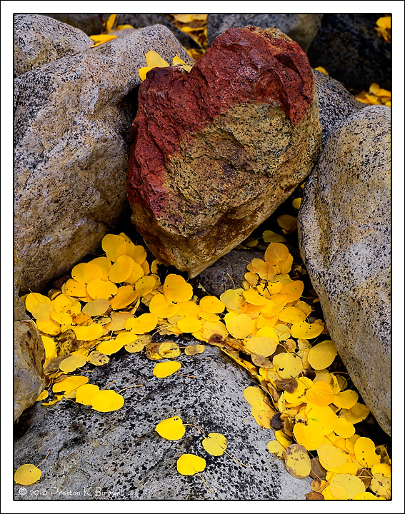 The Heart of Autumn