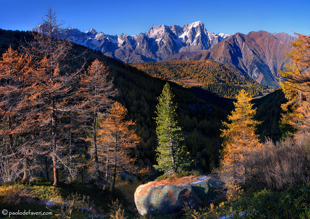 Eine Herbstsinfonie