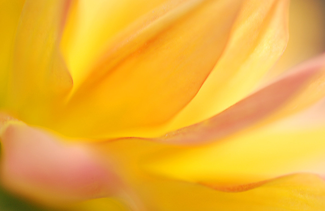 Cradled