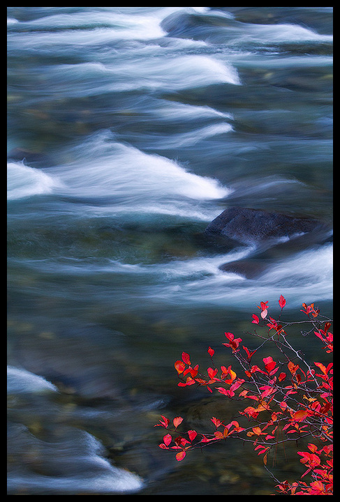 Red Rapids