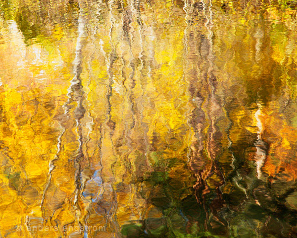 Abstractions in water
