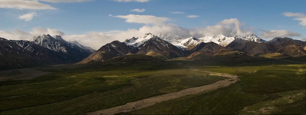 Denali Repost