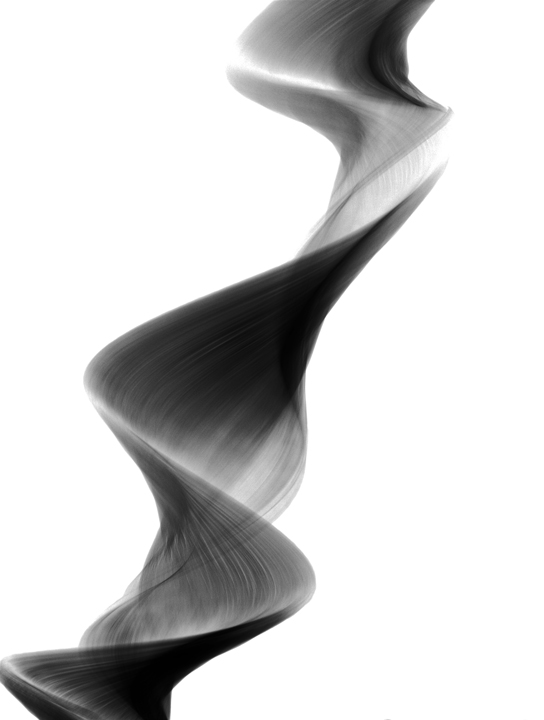 Maple Seed Abstract