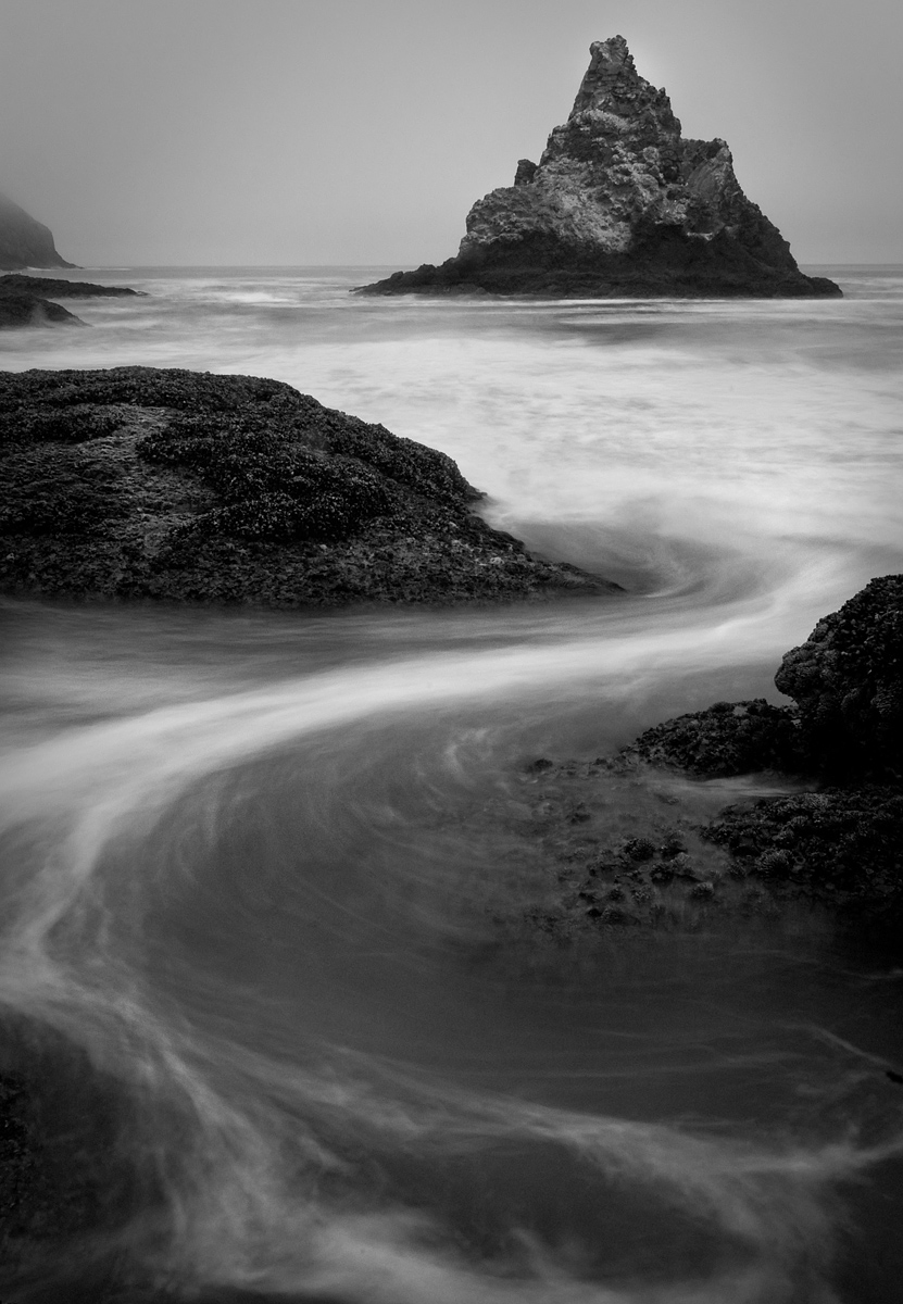 Follow the Tide