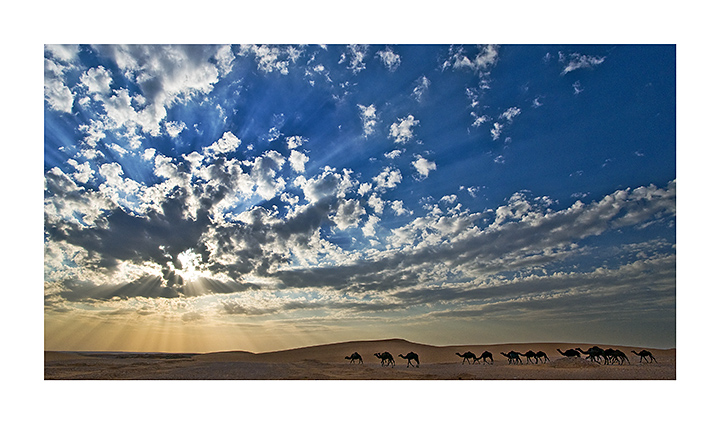 A journey to the sun II