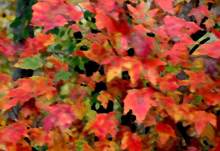 Fall's Glory Aflame