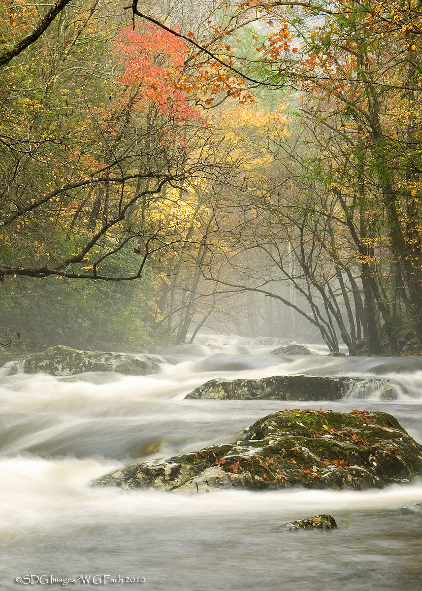 Misty River