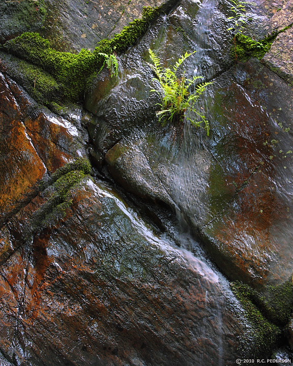 WC456-Water Deposits