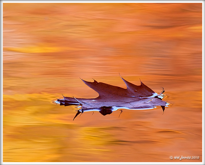 Red Oak, Golden River