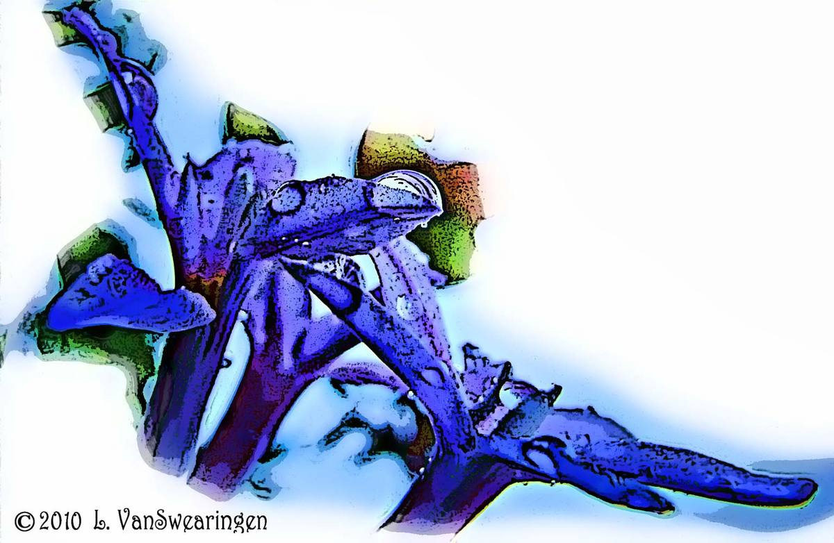 Purple Rain
