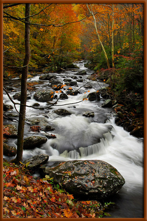 Autumn in Tennessee 