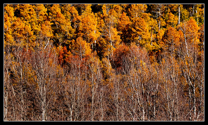 High Sierras 11-1-2010