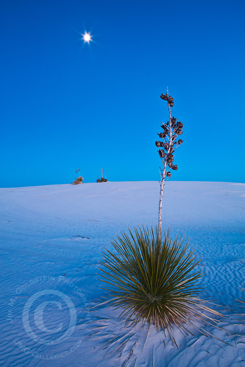White Sands Icons