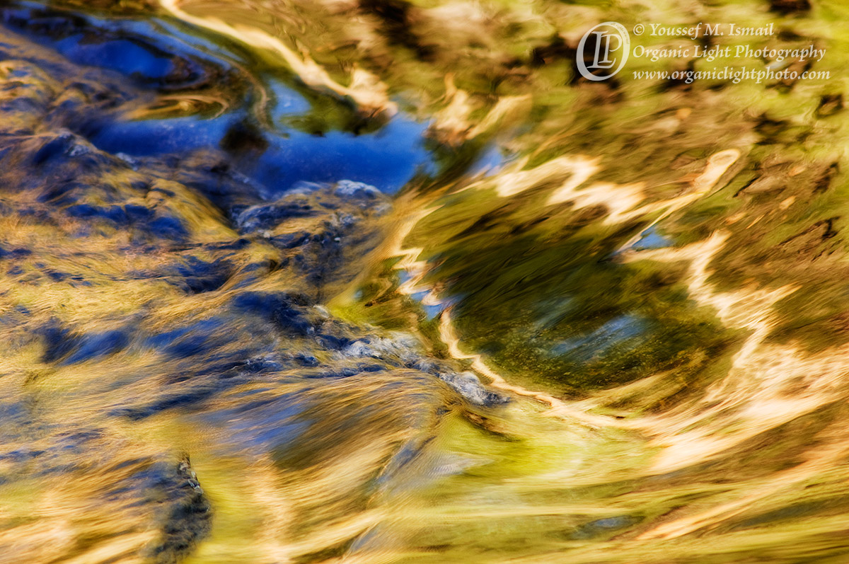 Reflections of Joy