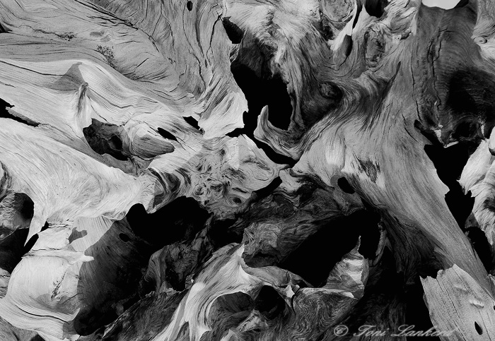 Silver Lake Driftwood + Original color version