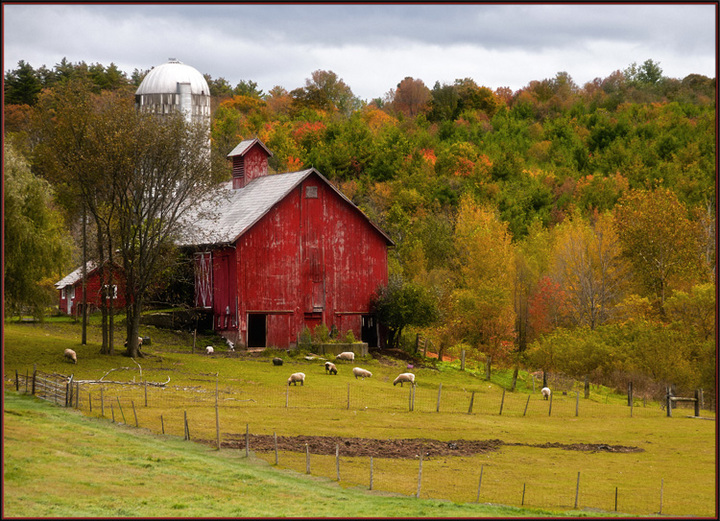 Vermont Farm