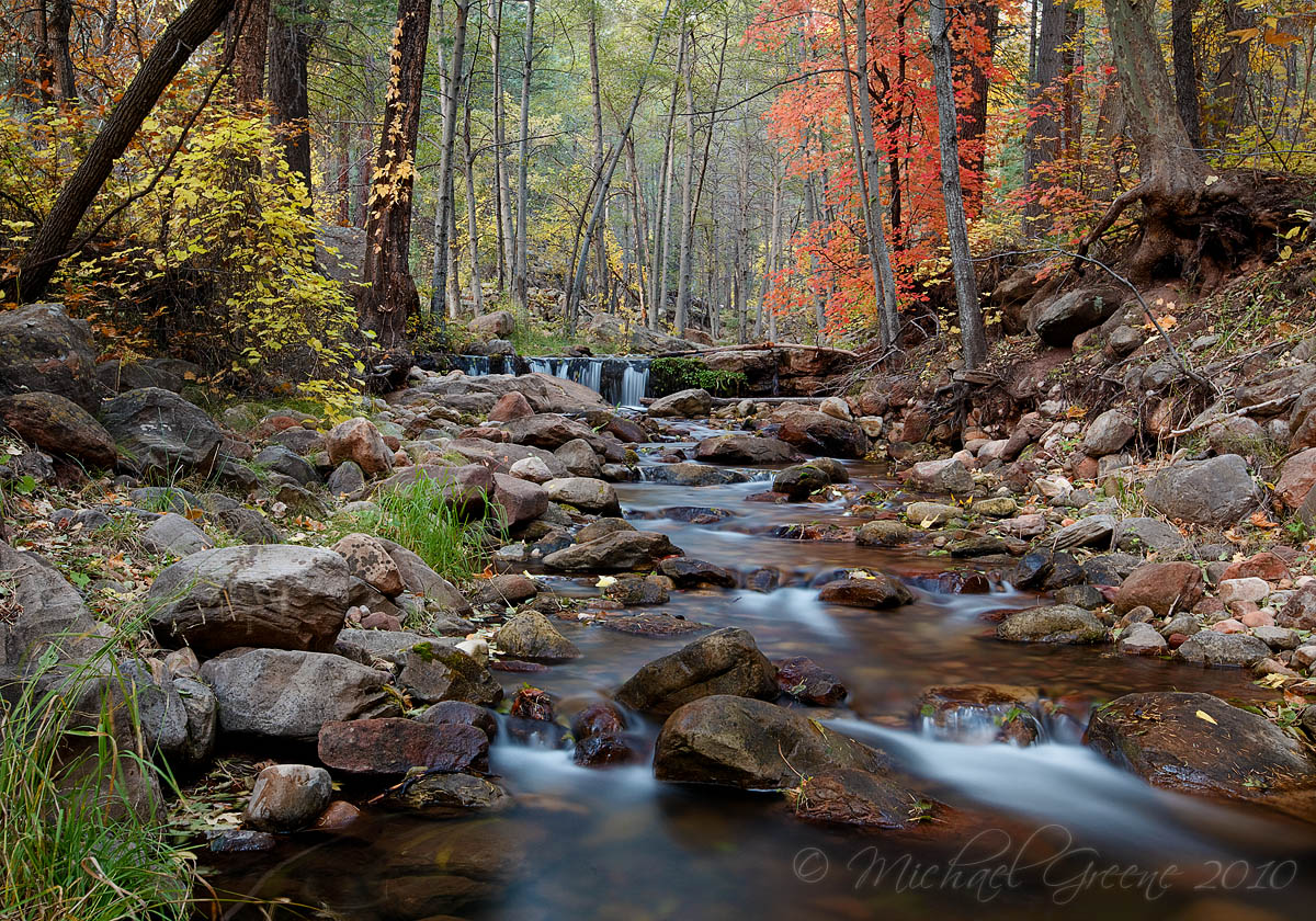 Rush of Stillness
